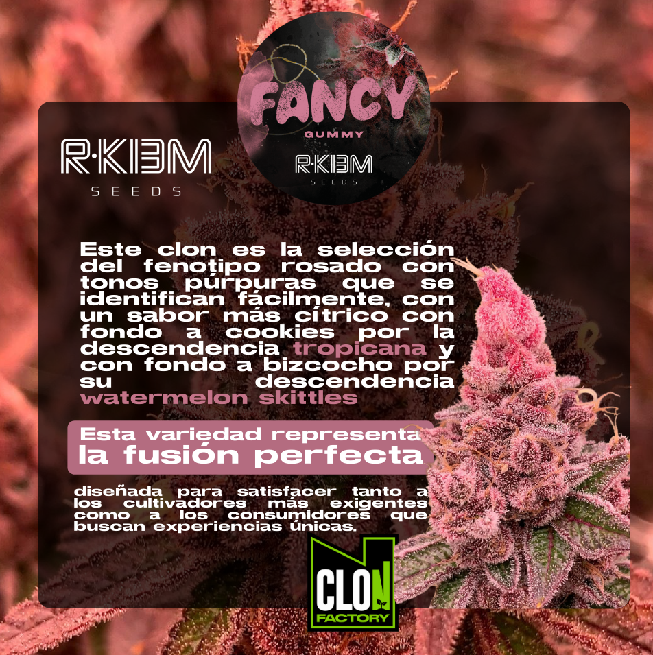 Imagen del producto o placeholder