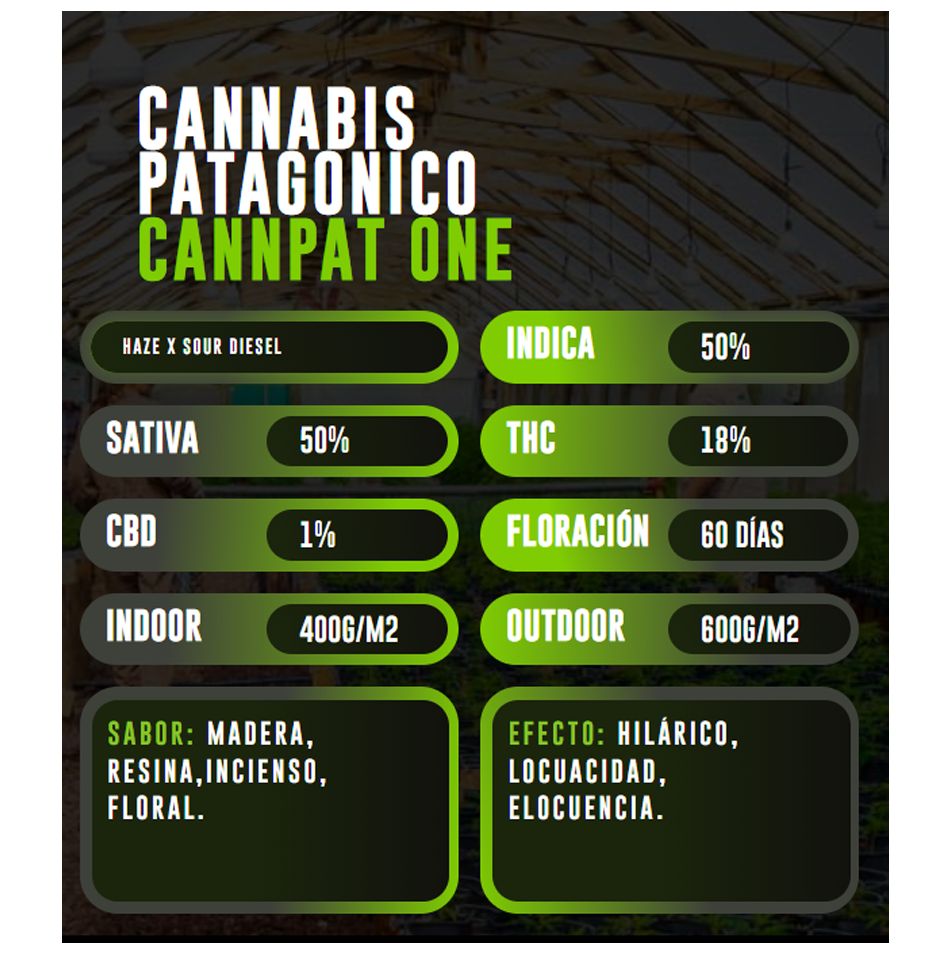 Imagen del producto o placeholder