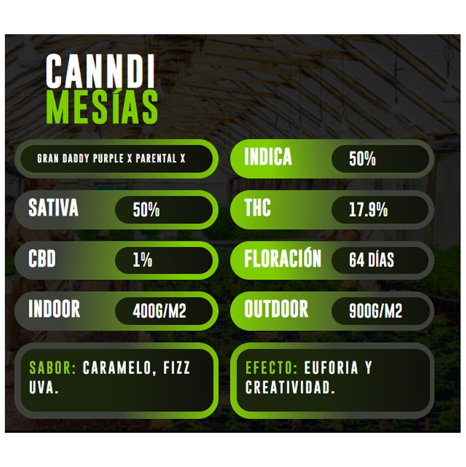 Imagen del producto o placeholder