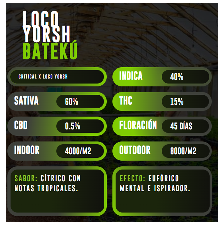 Imagen del producto o placeholder