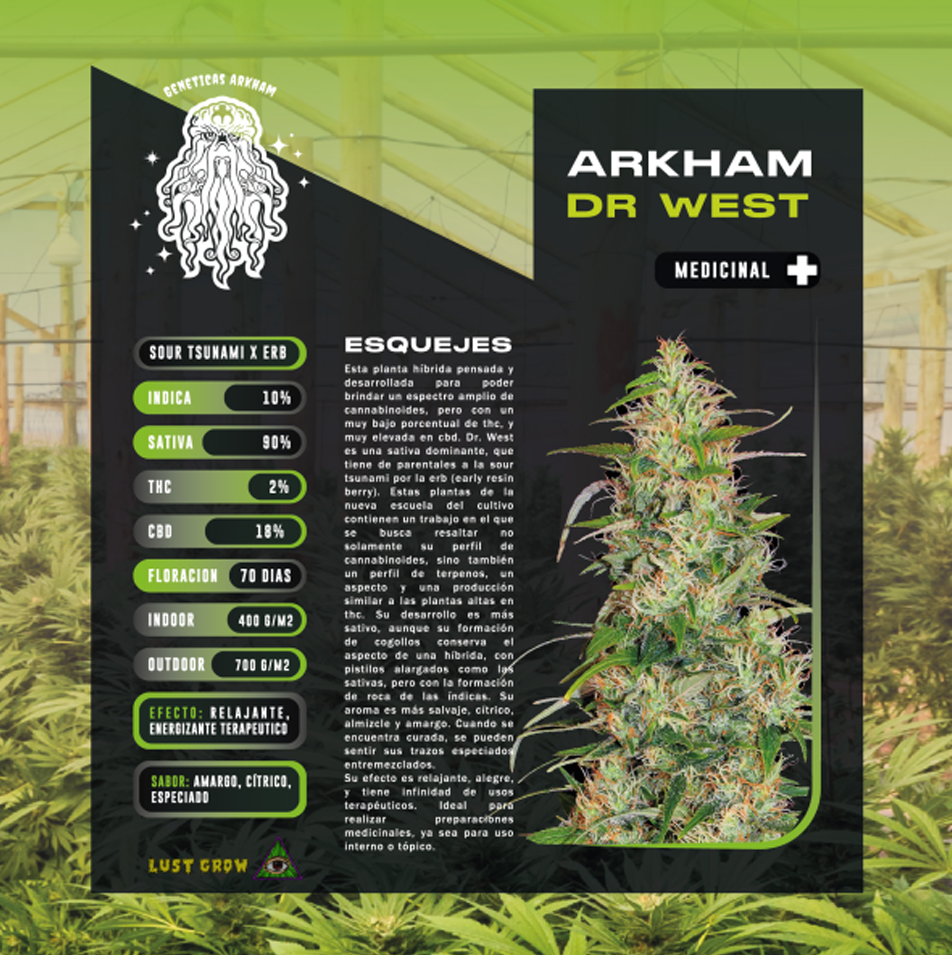 Imagen del producto o placeholder