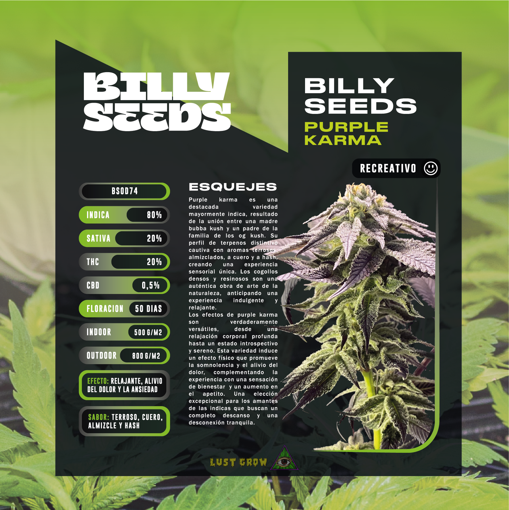 Imagen del producto o placeholder