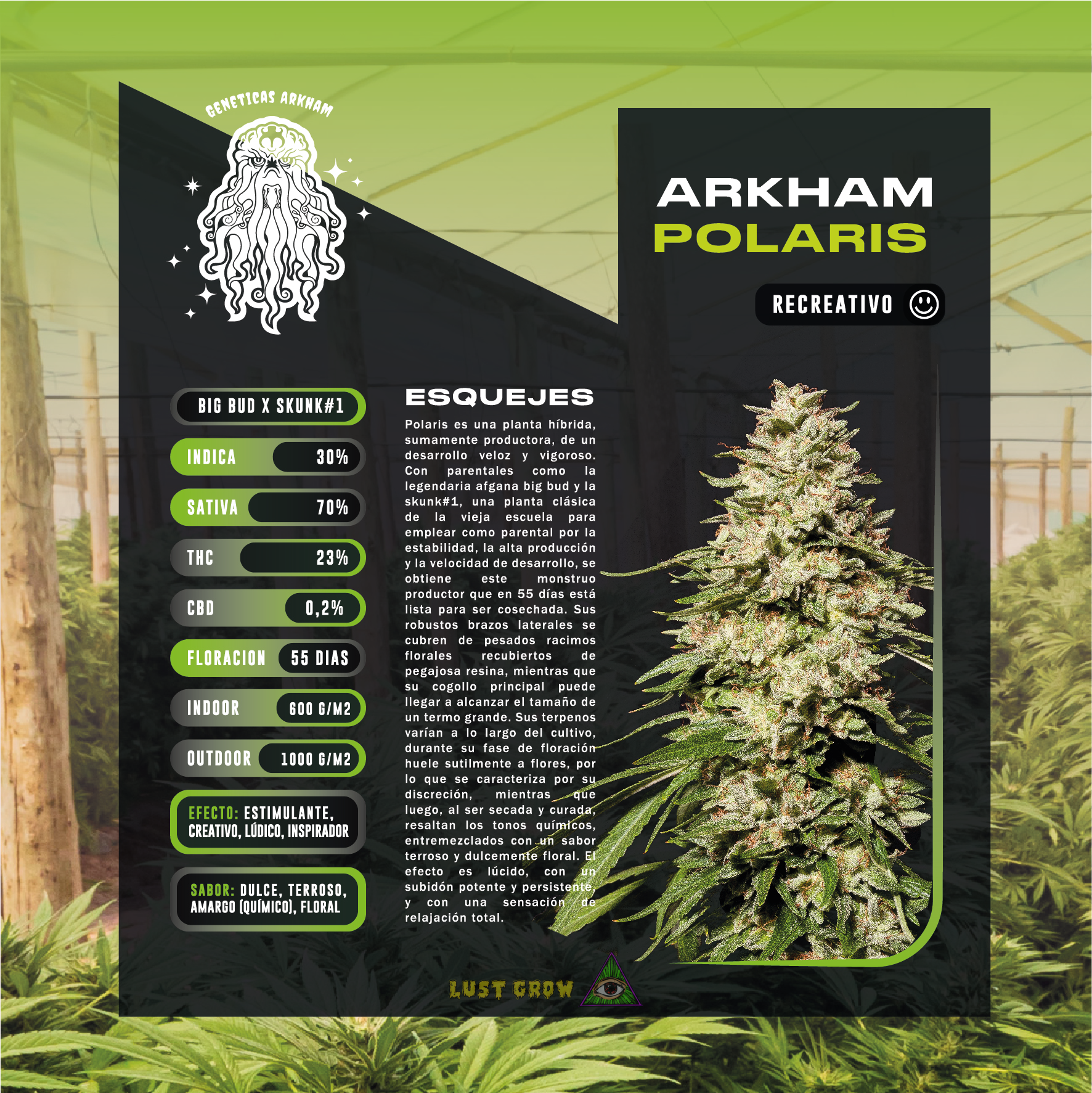 Imagen del producto o placeholder