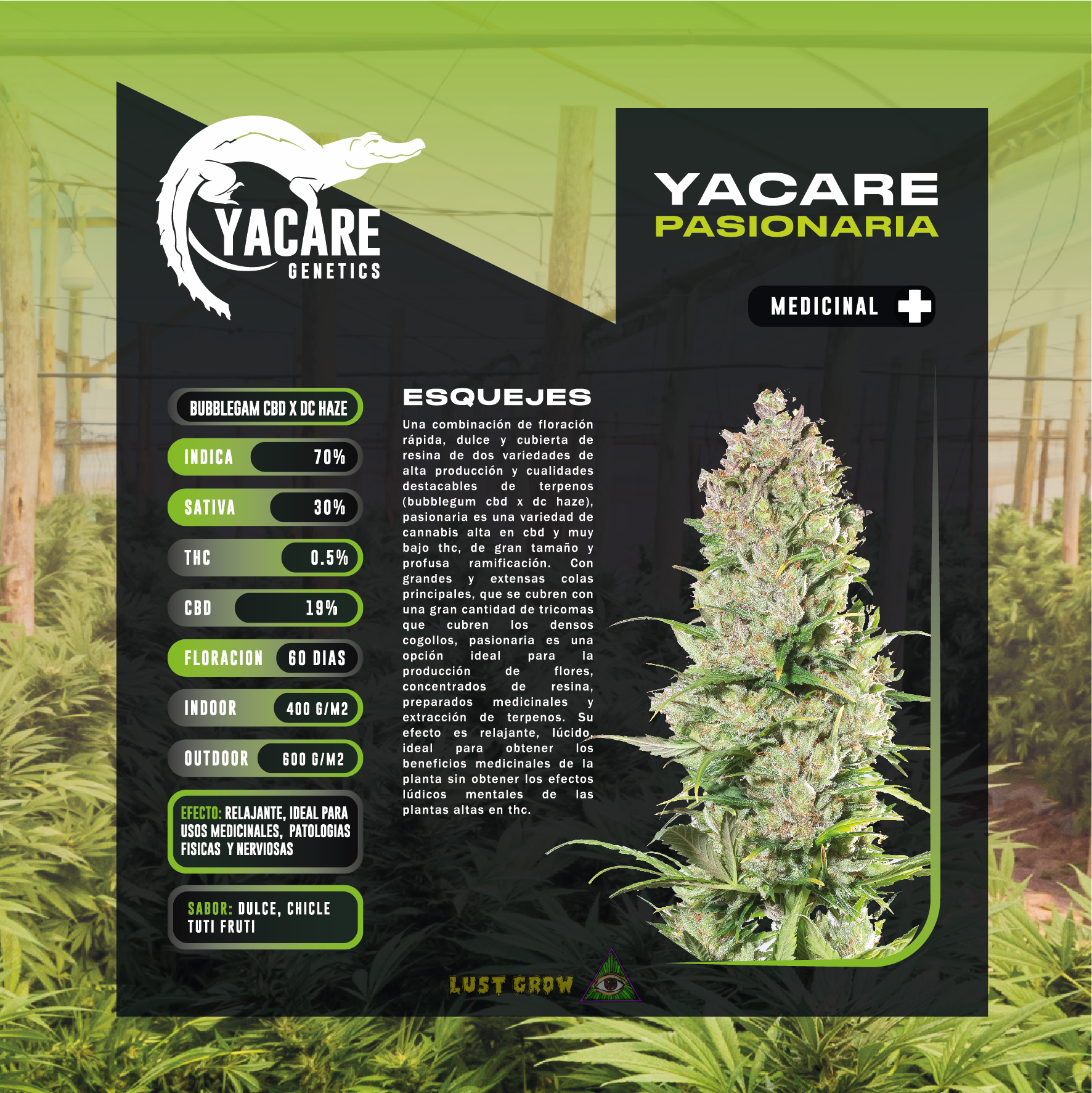 Imagen del producto o placeholder